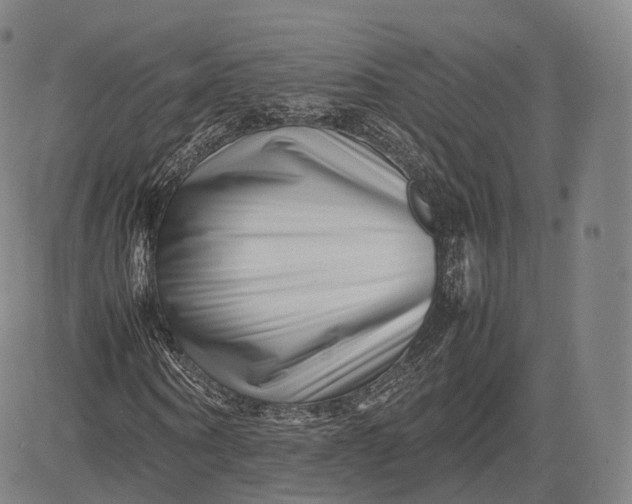 X0000083030866200702161639