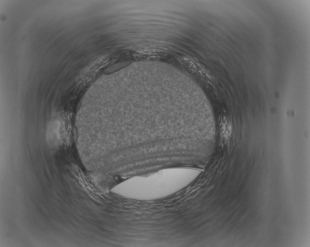 X0000083030868200702161639