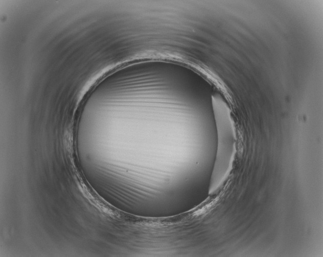 X0000083030896200702161638