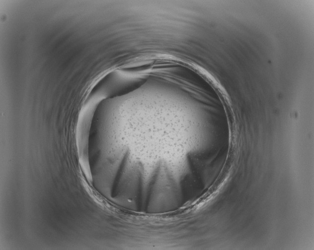X0000083030905200702161638
