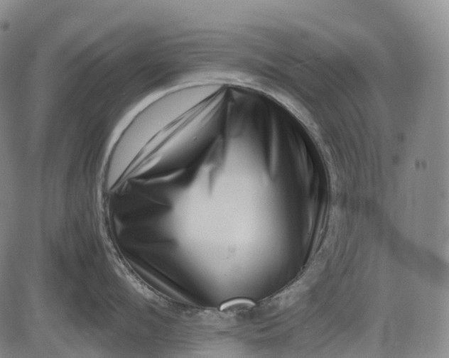 X0000083030912200702161638