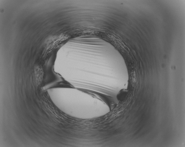 X0000083030916200702161637