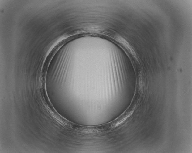 X0000083030924200702161637