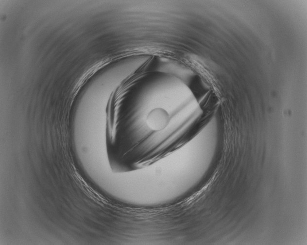 X0000083030930200702161637