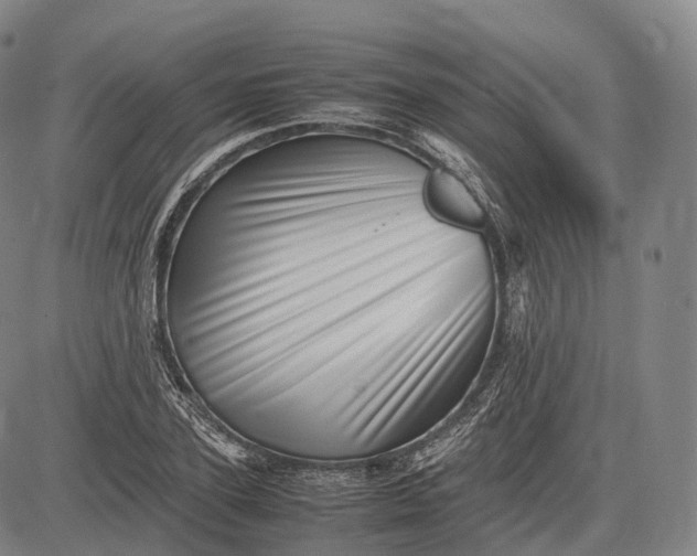 X0000083030931200702161637