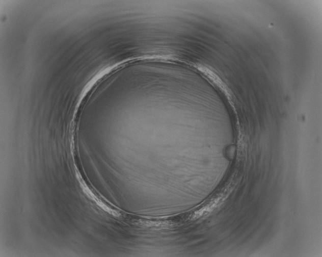 X0000083030941200702161638