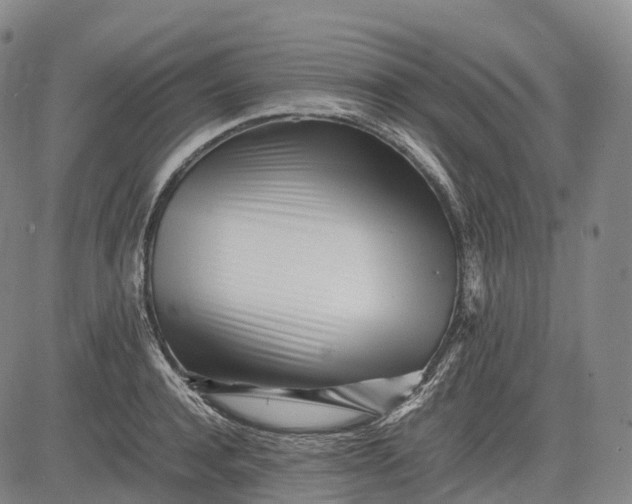 X0000083030944200702161638