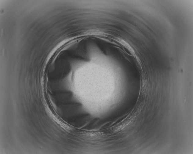 X0000083030947200702161638