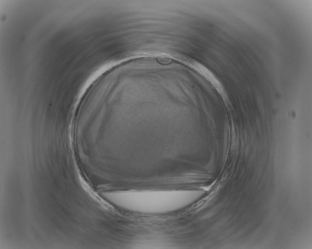 X0000083030958200702161638