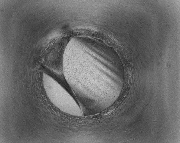 X0000083030965200702161637