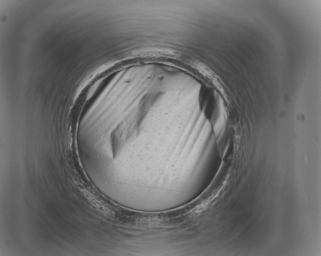 X0000083030973200702161637