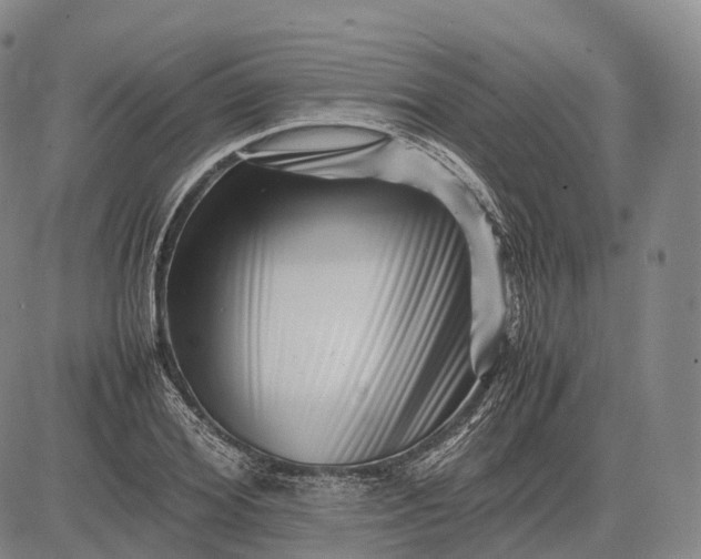 X0000083030980200702161637