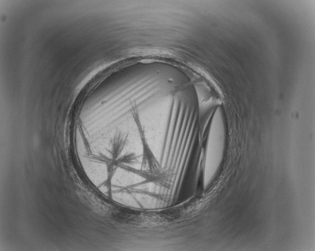 X0000083030983200702161637