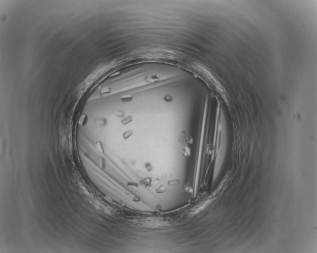 X0000083030986200702161637