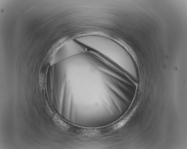 X0000083031001200702161637