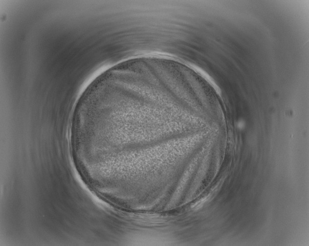 X0000083031007200702161636