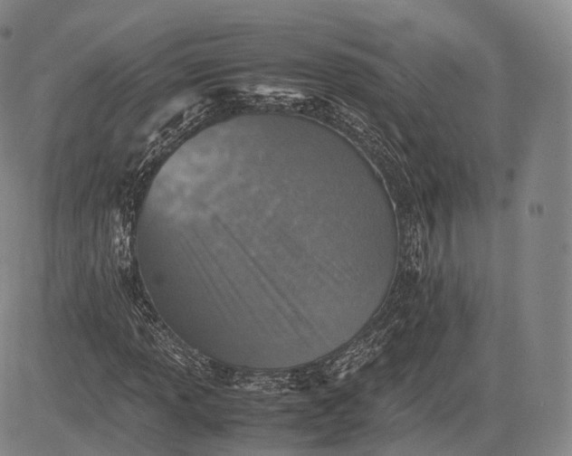X0000083031013200702161636