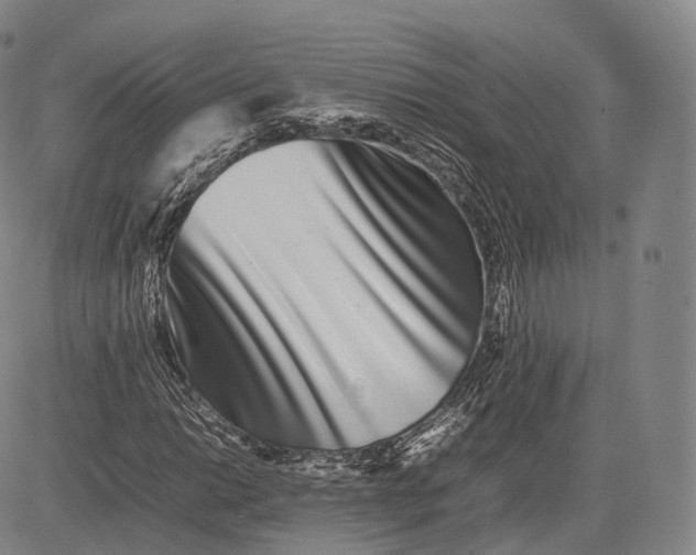 X0000083031014200702161636