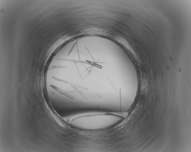 X0000083031040200702161636