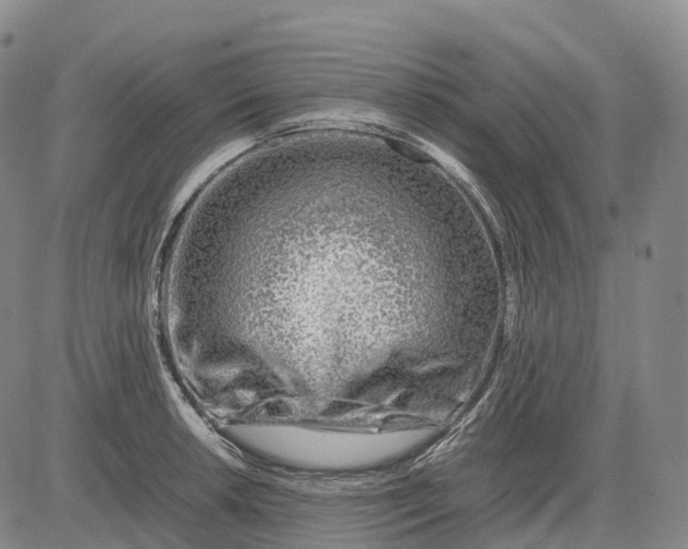 X0000083031042200702161636