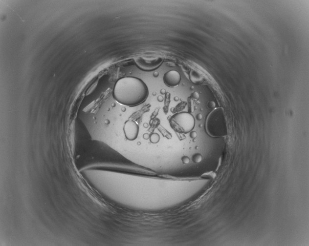 X0000083031043200702161636
