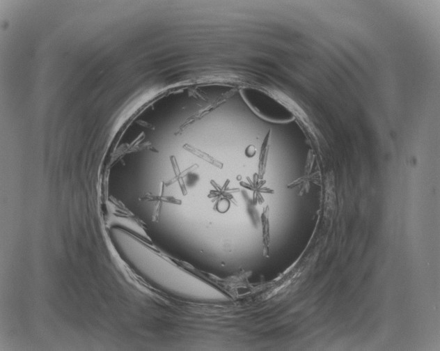 X0000083031047200702161636