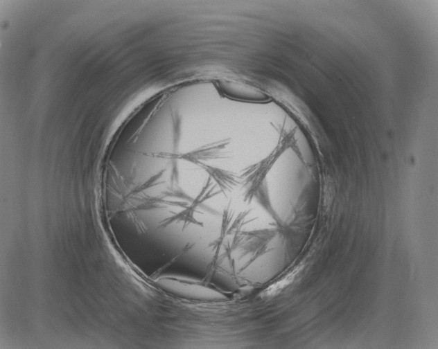 X0000083031048200702161636