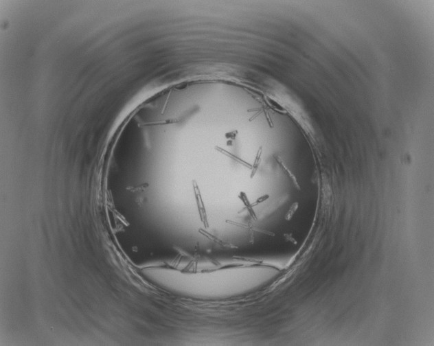 X0000083031052200702161636