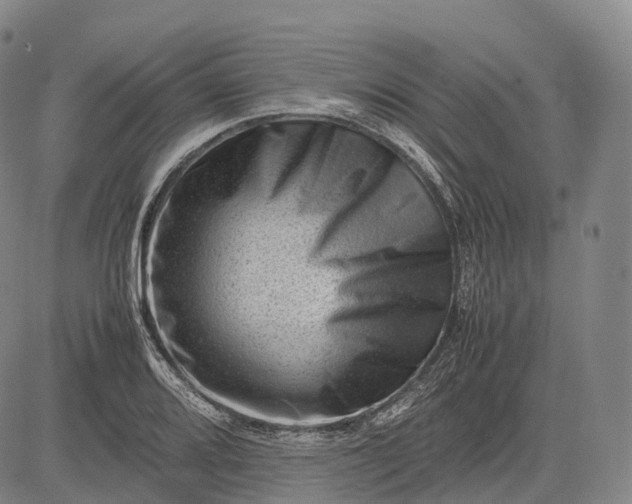 X0000083031080200702161635