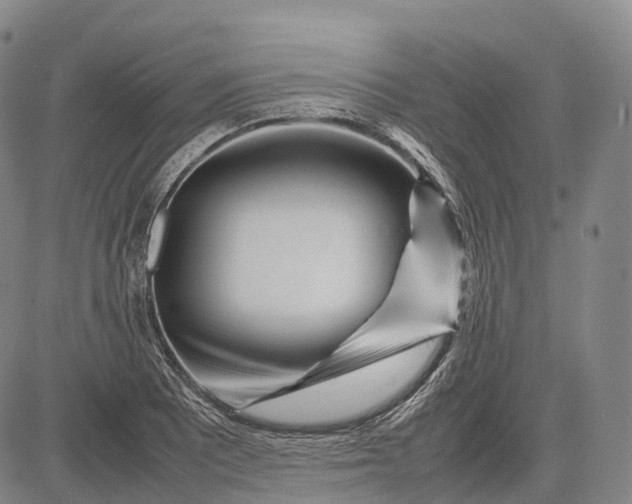 X0000083031081200702161635