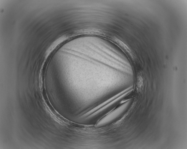 X0000083031082200702161635
