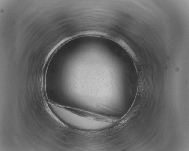 X0000083031092200702161635