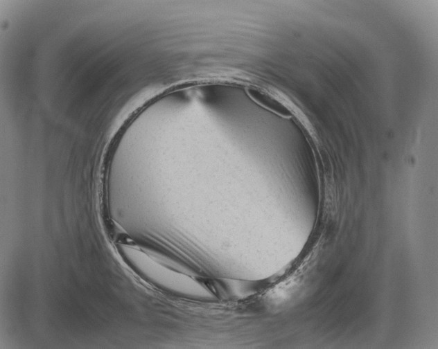 X0000083031093200702161635