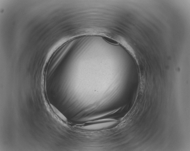 X0000083031096200702161635