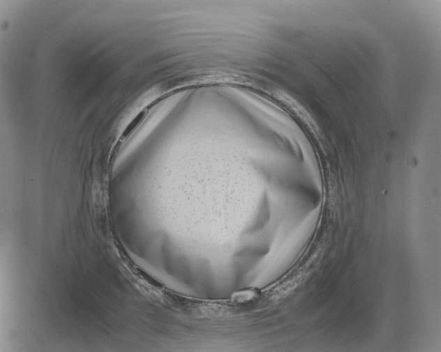 X0000083031097200702161635