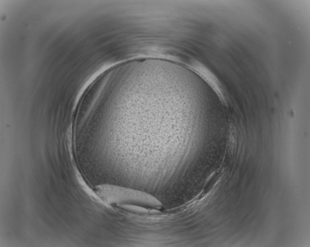 X0000083031100200702161635