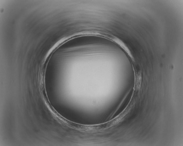 X0000083031101200702161635