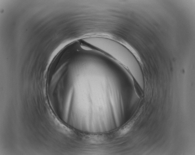 X0000083031102200702161635