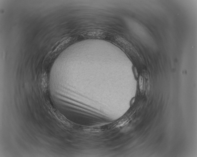 X0000083031107200702161634