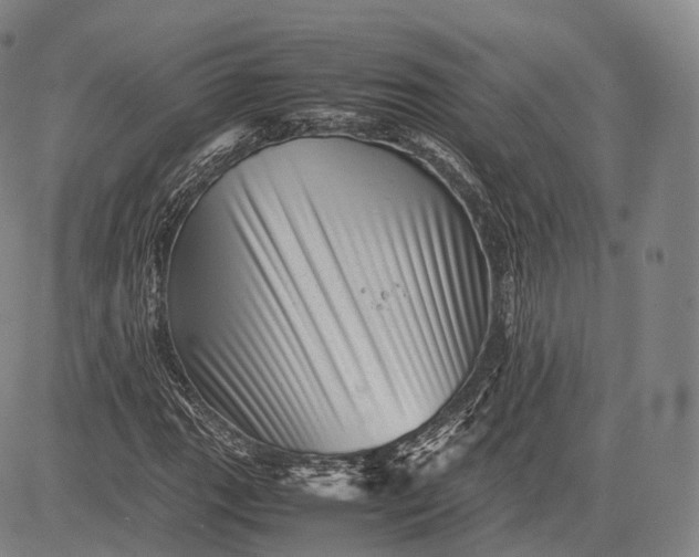 X0000083031111200702161634