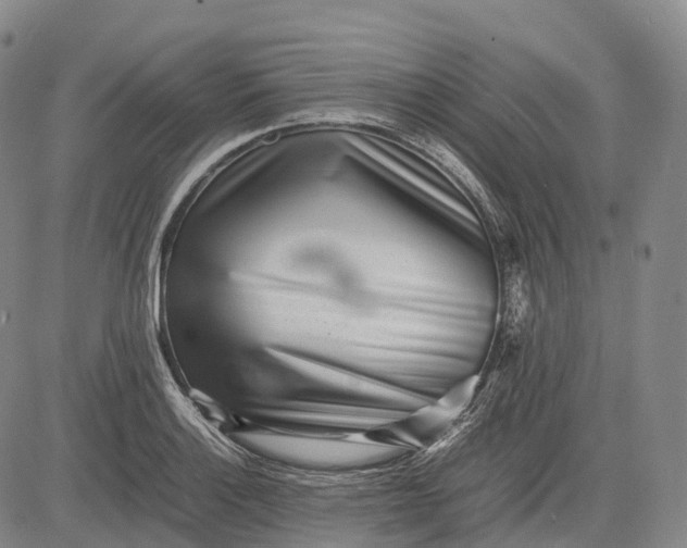 X0000083031132200702161635