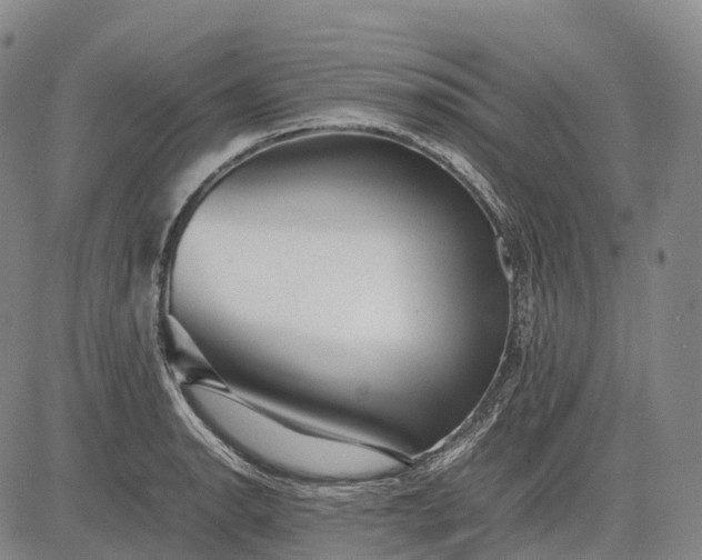 X0000083031134200702161635