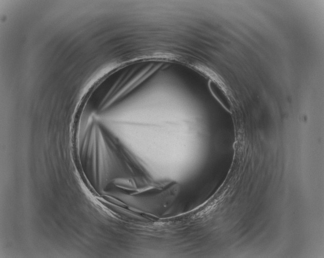 X0000083031135200702161635