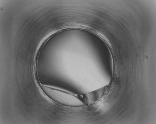 X0000083031136200702161635