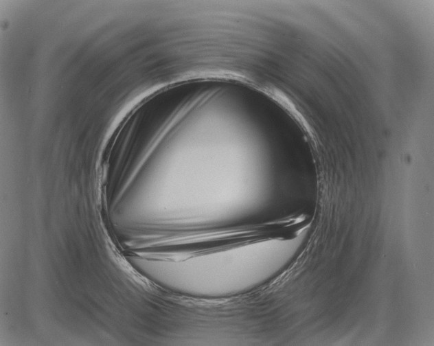 X0000083031140200702161635