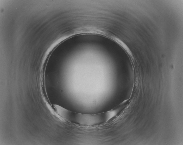 X0000083031144200702161635