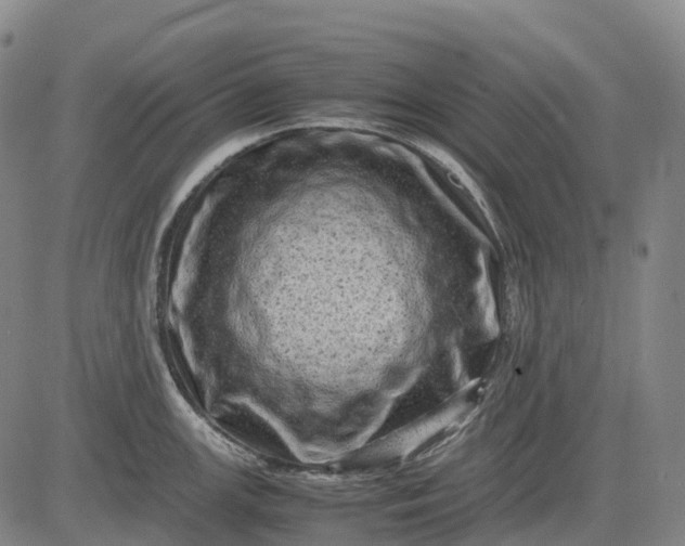 X0000083031147200702161635