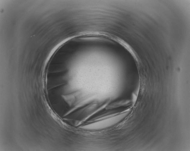 X0000083031148200702161635