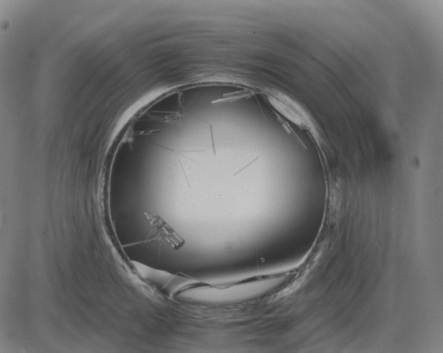 X0000083031149200702161635