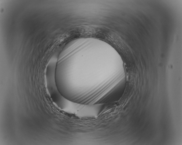 X0000083031153200702161634